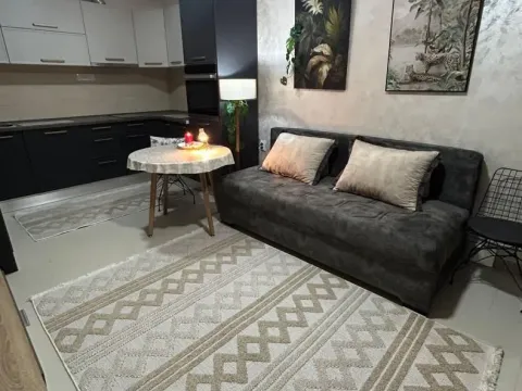 Rent, one bedroom apartment, 40m², Zlatica, Podgorica - image 6