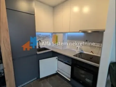 Izdavanje, dvosoban stan, 45m², Novi Beograd Blok 63, Novi Beograd Sve Podlokacije - image 15