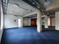 Izdavanje, poslovni prostor, 700m², Zabjelo, Podgorica - image 10