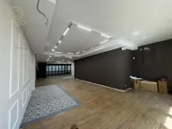 Izdavanje, poslovni prostor, 230m², Čubura, Beograd - image 7
