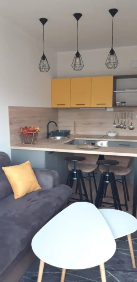 Rent, one bedroom apartment, 45m², Preko Morače, Podgorica