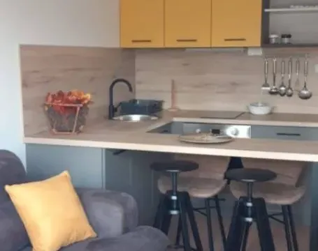 Izdavanje, jednosoban stan, 45m², Preko Morače, Podgorica - image 2