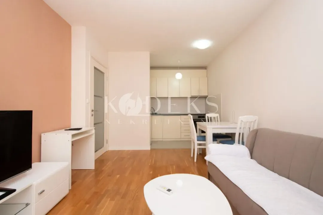 Izdavanje, jednosoban stan, 39m², Zabjelo, Podgorica