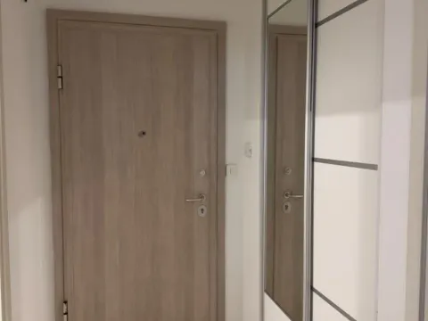 Izdavanje, jednosoban stan, 50m², Central Point, Podgorica - image 6