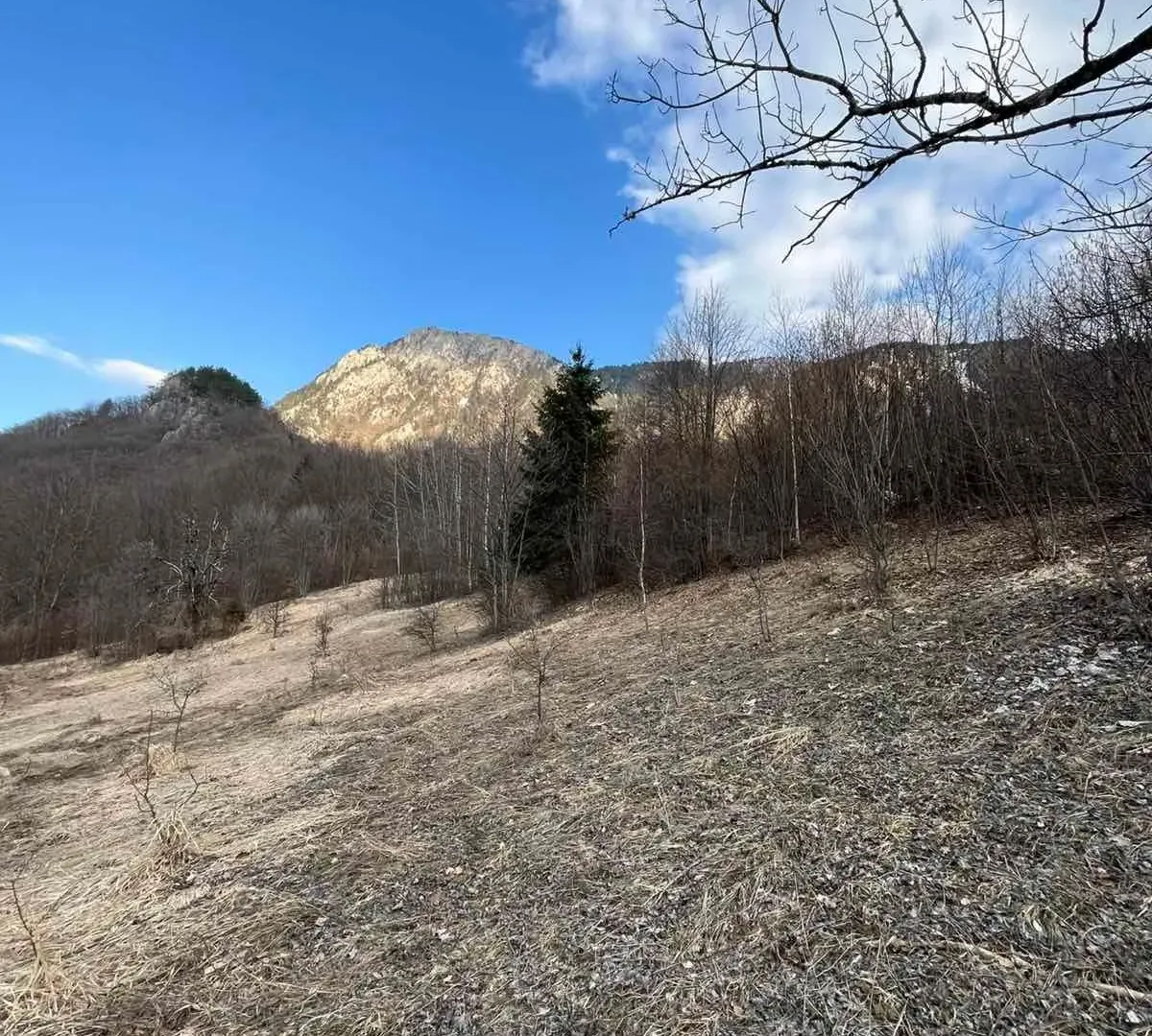 Prodaja, plac, 3500m², Nadgora, Žabljak