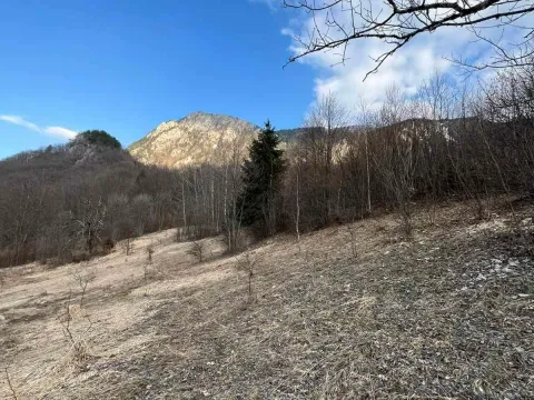 Prodaja, plac, 3500m², Nadgora, Žabljak - image 6