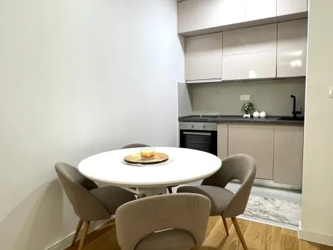 Izdavanje, jednosoban stan, 47m², Central Point, Podgorica - image 12