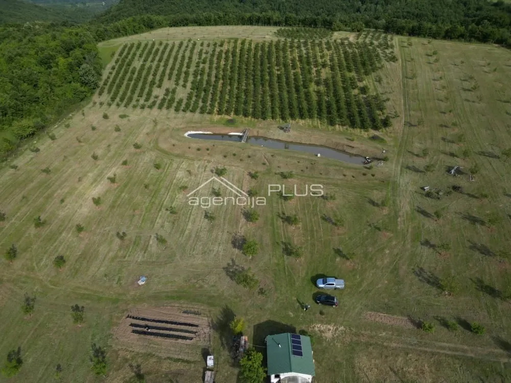 Prodaja, plac, 70000m², Grošnica, Kragujevac