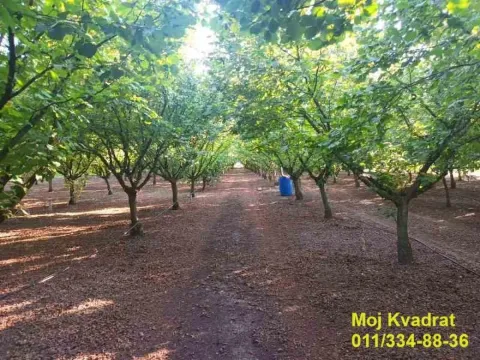 Zemljište in Nova Pazova