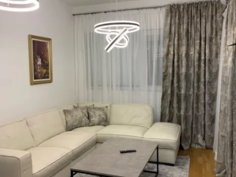Izdavanje, jednosoban stan, 41m², Zabjelo, Podgorica - image 7