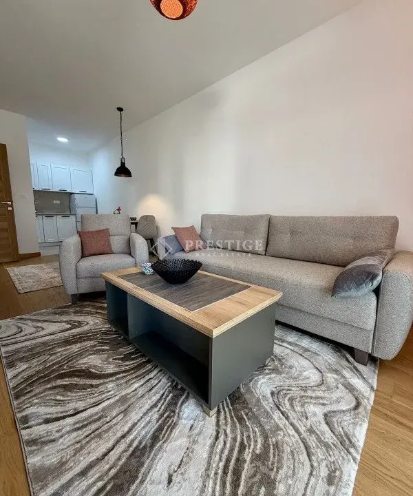 Rent, one bedroom apartment, 46m², City Kvart, Podgorica