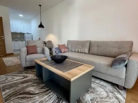 Rent, one bedroom apartment, 46m², City Kvart, Podgorica - image 1