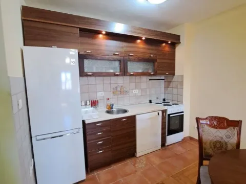 Rent, one bedroom apartment, 50m², Stari Aerodrom, Podgorica - image 11