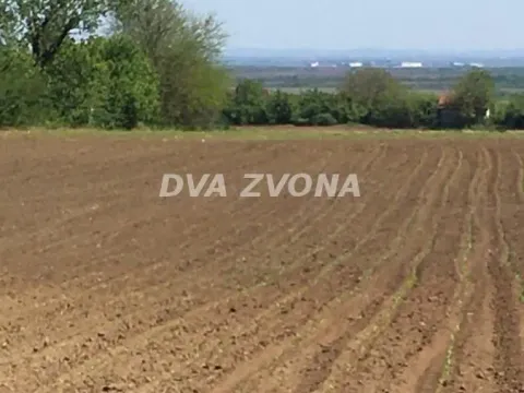 Prodaja, plac, 1300m², Čortanovci, Inđija - image 2