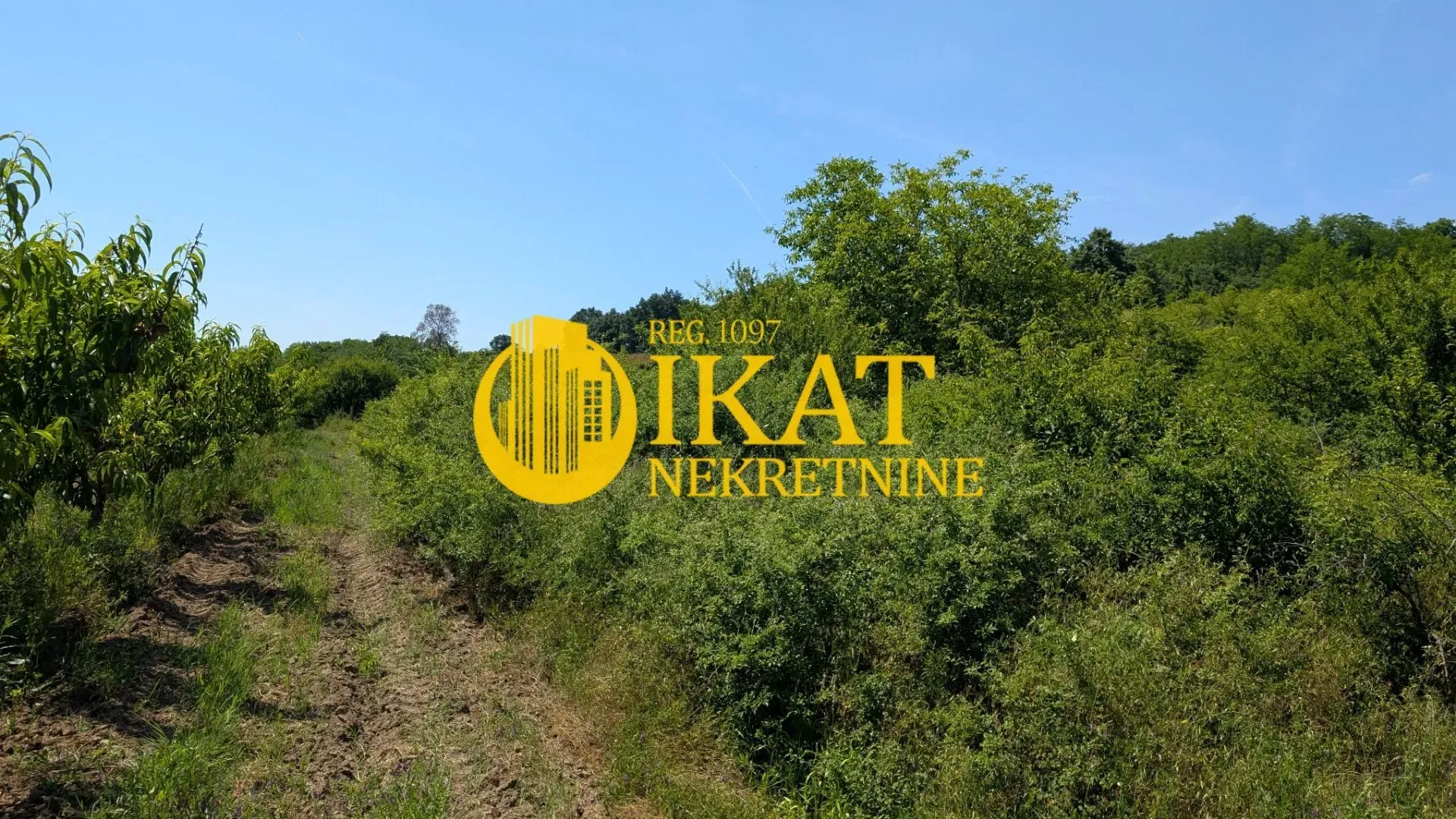 Prodaja, plac, 7000m², Mali Požarevac, Sopot