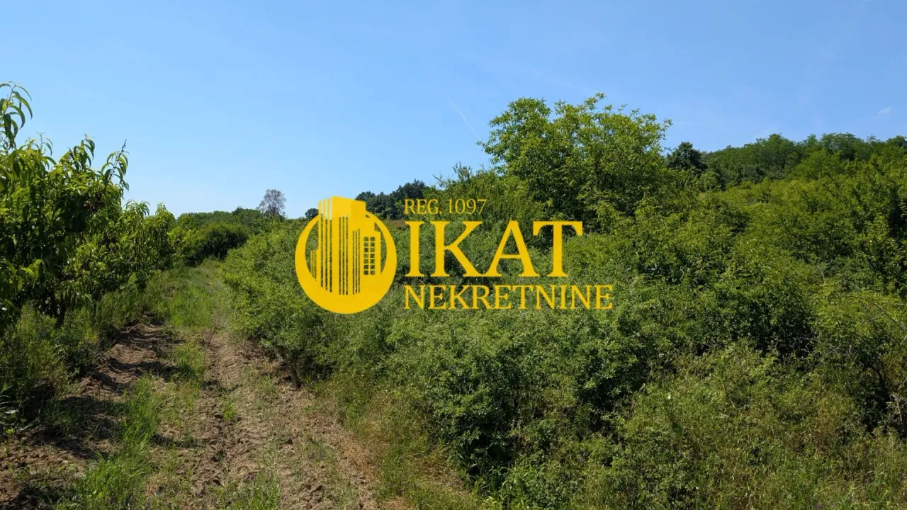 Prodaja, plac, 7000m², Mali Požarevac, Sopot