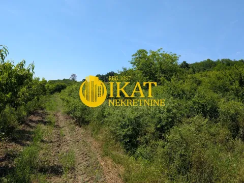 Zemljište in Mali Požarevac