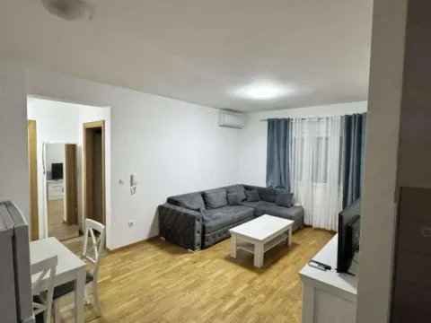 Prodaja, jednosoban stan, 43m², Zabjelo, Podgorica - image 4