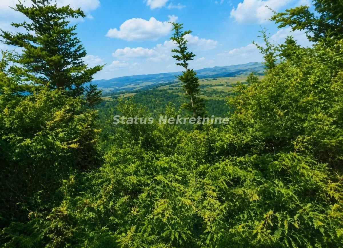 Prodaja, plac, 79429m², Požega, Srbija