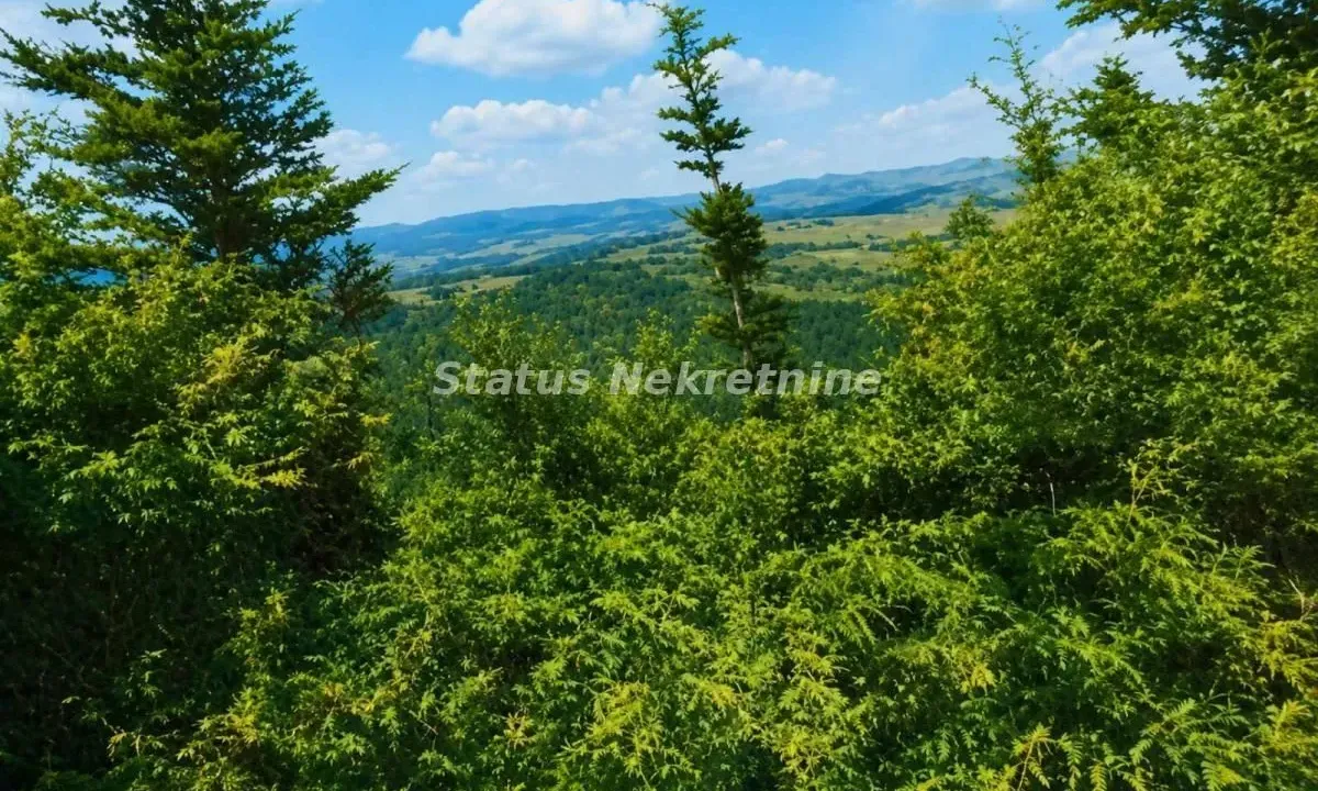 Prodaja, plac, 79429m², Požega, Srbija