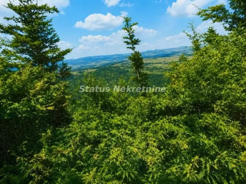 Prodaja, plac, 79429m², Požega, Srbija - image 1