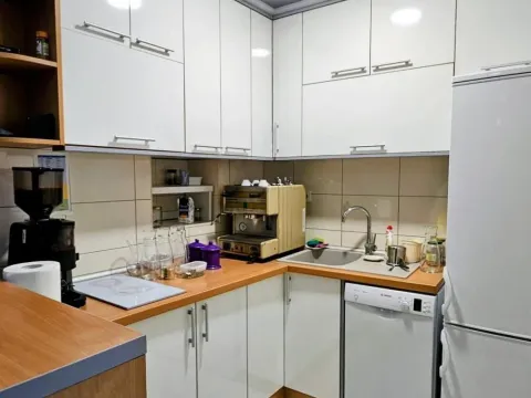 Rent, office space, 318m², Profesorska Kolonija, Palilula Sve Podlokacije - image 10