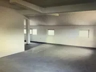 Izdavanje, poslovni prostor, 900m², Altina, Beograd - image 9