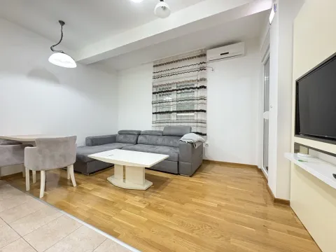 Rent, one bedroom apartment, 44m², Ljubović, Podgorica - image 2