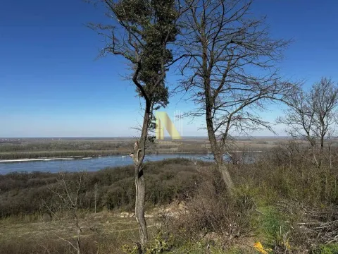 Sale, land lot, 20m², Čortanovci, Inđija