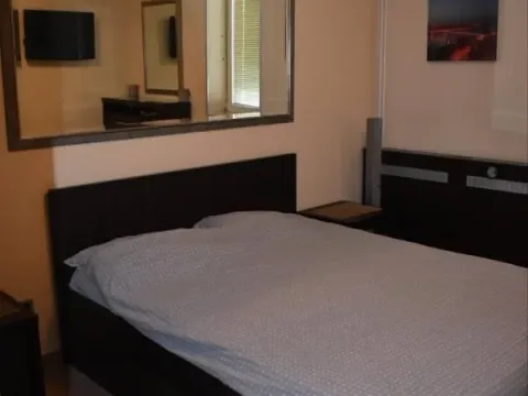 Izdavanje, kuća, 250m², Petrovaradin, Novi Sad - image 9