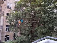 Izdavanje, jednosoban stan, 31m², Đeram Pijaca, Beograd - image 10