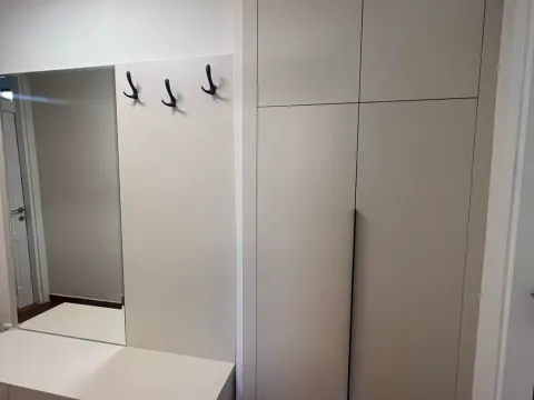 Izdavanje, jednosoban stan, 45m², Dalmatinska ulica, Podgorica - image 3