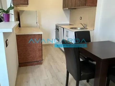 Izdavanje, stan, 47m², Stari Merkator, Novi Beograd Sve Podlokacije - image 10