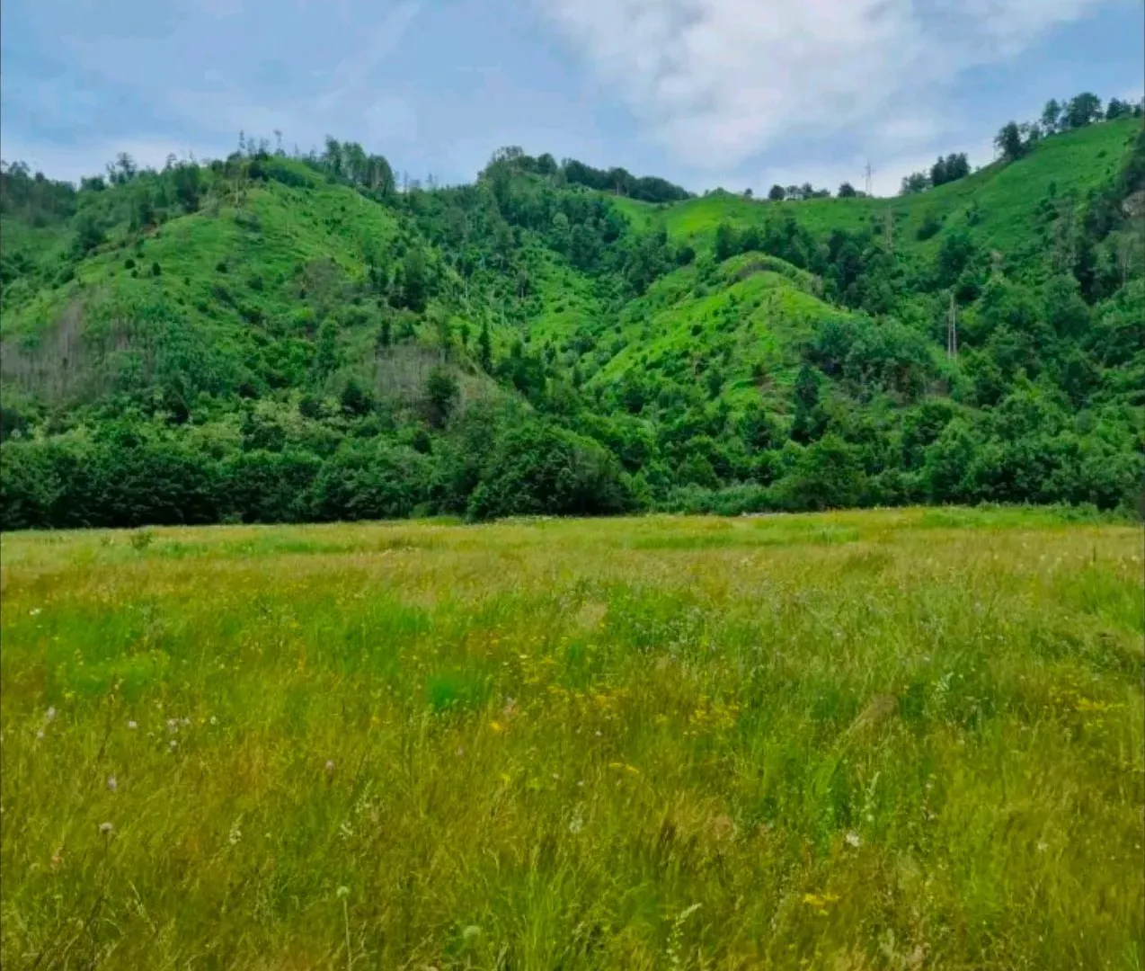 Prodaja, plac, 4300m², Veruša, Podgorica
