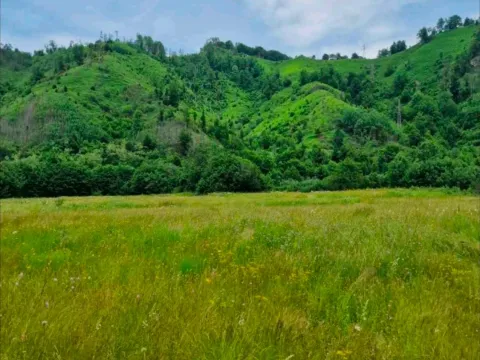 Prodaja, plac, 4300m², Veruša, Podgorica - image 3