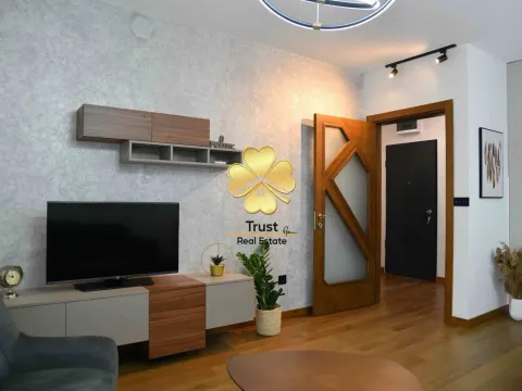 Izdavanje, jednosoban stan, 50m², Podgorica, Crna Gora - image 2