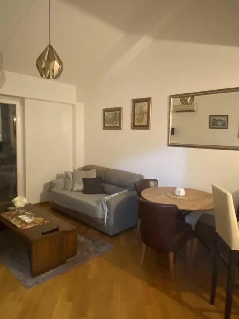 Izdavanje, jednosoban stan, 48m², Preko Morače, Podgorica