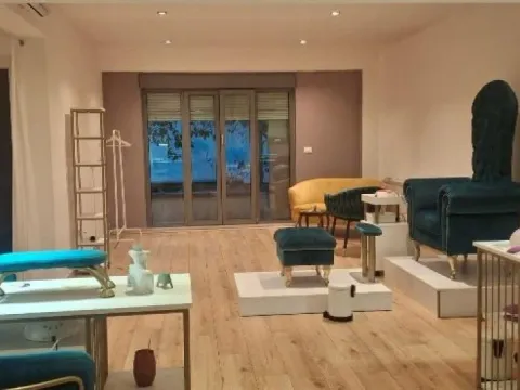 Izdavanje, poslovni prostor, 70m², Vračar Hram, Vračar Sve Podlokacije - image 2