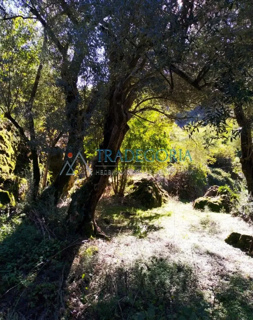Prodaja, kuća, 210m², Podgorica, Crna Gora