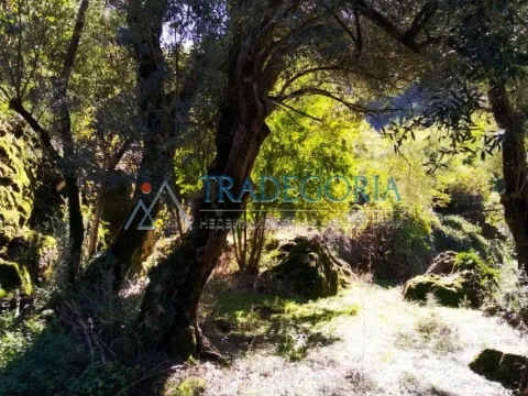 Prodaja, kuća, 210m², Podgorica, Crna Gora - image 13