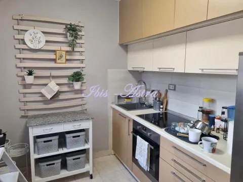 Izdavanje, jednosoban stan, 43m², Banovo Brdo, Beograd - image 4