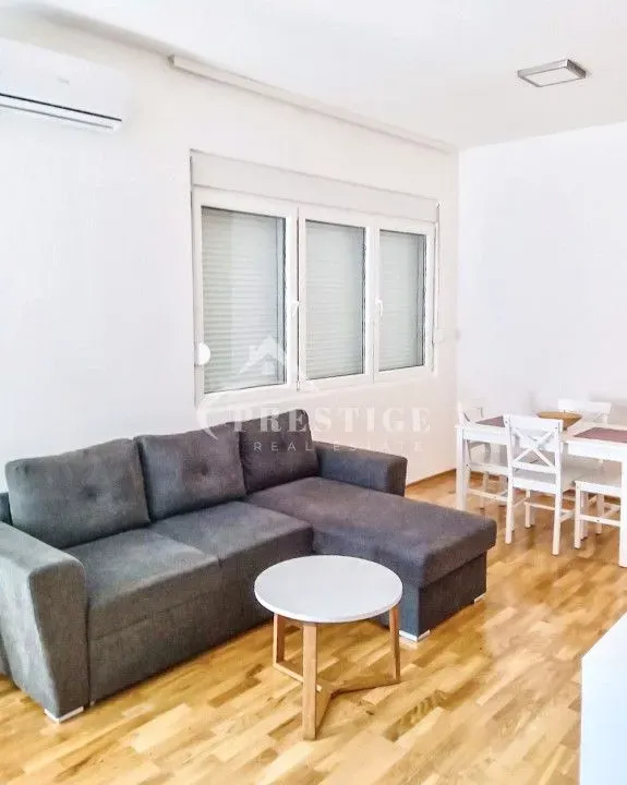 Izdavanje, jednosoban stan, 40m², Zagorič, Podgorica