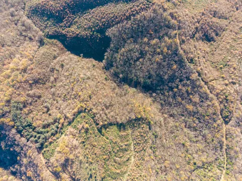 Sale, land lot, 28959m², Kolomza, Ulcinj - image 8