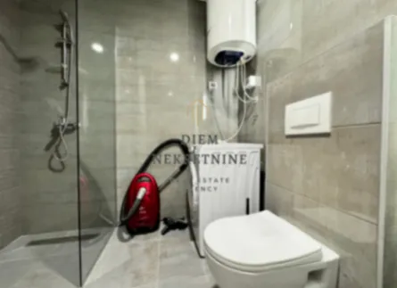 Izdavanje, jednosoban stan, 50m², Stari Aerodrom, Podgorica - image 9