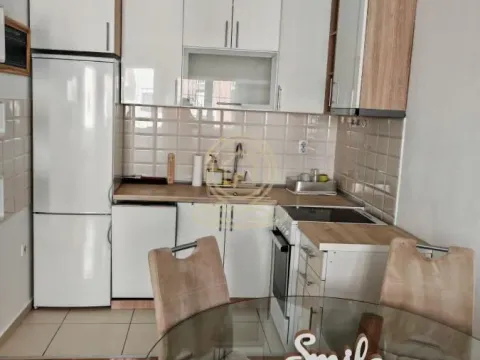 Izdavanje, dvosoban stan, 42m², Nova Detelinara, Novi Sad Sve Podlokacije - image 3