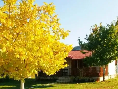 Sale, land lot, 3800m², Grahovo, Nikšić - image 4