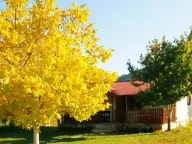 Prodaja, plac, 3800m², Grahovo, Nikšić - image 4