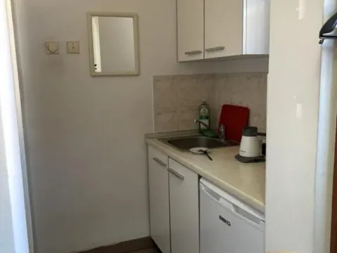 Prodaja, poslovni prostor, 127m², Botanička Bašta, Palilula Sve Podlokacije - image 7