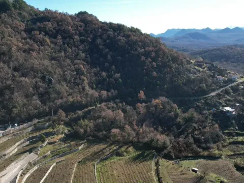 Sale, land lot, 4400m², Cetinje, Crna Gora - image 5