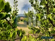 Prodaja, kuća, 130m², Grocka (mesto), Grocka - image 18